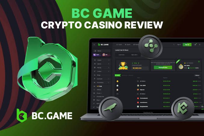Understanding the BC.Game UAE Login Process Understanding the BC.Game UAE Login Process
